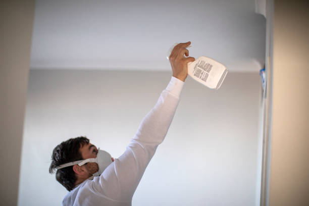 Best Toxic Mold Removal  in Avilla, IN