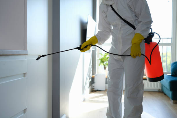 Mold Removal and Inspection in Avilla, IN